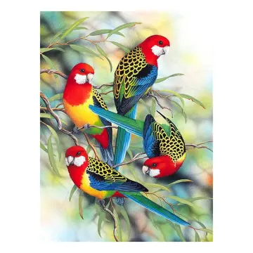 Diy Crystal Art Diamond Painting 30X30Cm: Tropical Bird