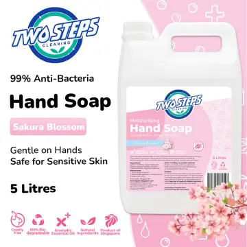 Soap Clean - Best Price in Singapore - Jan 2024