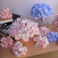 Flowers Types Hydrangeas