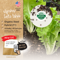 1แถม1 เมล็ดผักนำเข้า ผักกาดขาว ไม่ห่อ Tokyo Bekana (Organic Seed) โตเกียวเบกาน่า บีคานา ปลูกง่าย โตไว