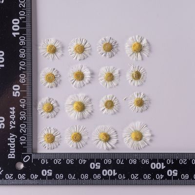 ✳☜✼ 2.5 4CM/36PC Natural Dried Flower Interior Mini Pressed White Feipeng GrassDry Erigeron Annuus Flowers Head For Resin Jewellery
