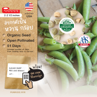 ?เมล็ดนำเข้า ถั่วลันเตาหวาน Sugar Snap Peas (Organic Seed) AAS WINNER สายพันธุ์นี้มีรางวัล