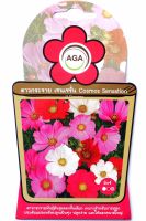 ดาวกระจาย เซนเซชั่น คละสี Cosmos Sensation Mixed Colors เมล็ดพันธุ์ดอกไม้ AGA เอกะ อะโกร