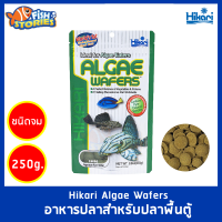 Hikari Algae Wafers 250g. อาหารสำหรับปลากินพืช กินตะไคร่ แบบเม็ดจม สำหรับปลาพื้นตู้ เม็ดแบน ขายดี!!