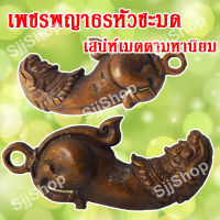 ปลัดหัวชะมดเพชรพญาธร  หรือ ทิพยาธร จัดส่ง 1-3 วันได้รับ