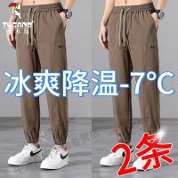 Woodpecker pants mens summer ice silk pants quick-drying han edition casual pants pants trend beam foot trousers new business trousers