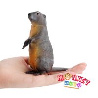 Monkey Toys - โมเดลสัตว์ Marmot มาร์มอต เทา ขนาด 10.50 CM (จากหาดใหญ่)