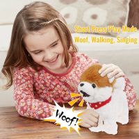 25Cm Cute Cartoon Pomeranian Dog Style Kids Interactive Toy Electronic Plush Puppy Stuffed Animal Toy For Toddler Crawl Learning