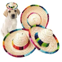 Crazy Nights Natural Straw Mini HatsNew Design Mini Mexican Hat Desktop Party Supplies Carnival Birthday De Party