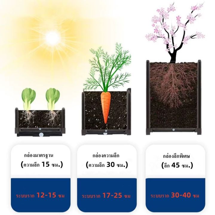 กระถางปลูกผัก-กระถางปลูกผัก-กล่องปลูกพืชผักที่ระเบียงครอบครัว-กระถางปลูกผักสวนครัวขนาดเล็ก-กระถางต้นไม้หวายเที่ยม-pp