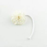 hot【cw】 10pcs With Rope Frangrance Diffuser of plant for diffuser Air freshener