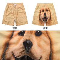 Shopkeepers selection# New five-point golden retriever mens beach pants quick-drying sports pants casual pants European and American fashion couple printed shorts 9.12NTH