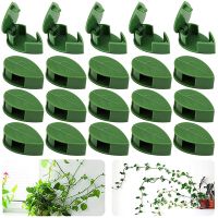 30 Piece Invisible Plant Clips Green Clip for Climbing Plants, Self-Adhesive Plant Fixing Devices