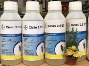 Bayer - Thuốc diệt mối mọt CISLIN 2.5 EC chai 1 lít sản xuất tại Thái Lan