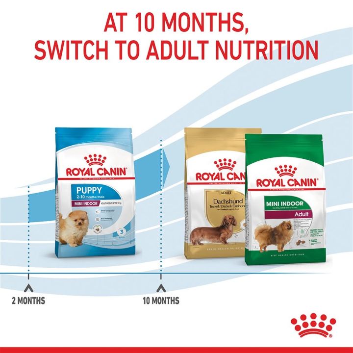 ส่งฟรี-royal-canin-mini-indoor-puppy-3kg-อาหารเม็ดลูกสุนัข-พันธุ์เล็ก-เลี้ยงในบ้าน-อายุ-2-10-เดือน