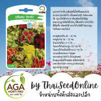 AGAPREMIUM วิซาร์ด ฤษีผสม 15เมล็ด ตราเอกะอะโกร Coleus Wizard