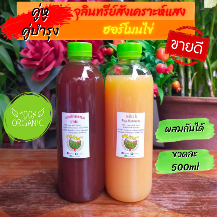 คู่หูคู่บำรุง-จุลินทรีย์สังเคราะห์แสง-ฮอร์โมนไข่-ขวดละ-500ml-ช่วยบำรุงพืช-บำรุงพืชใบ-บำรุงพืชหัว-เร่งราก-เร่งรากต้นไม้-บำรุงดอก-บำรุงผล