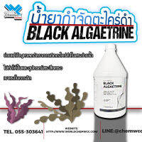 น้ำยากำจัดตะไคร้ดำ Black Algaetrine  3800 ml.