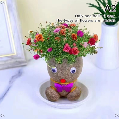 CK ตุ๊กตาหญ้าหัวหญ้าดอกตุ๊กตาที่สร้างสรรค์หัวยาวดอกหญ้าไฮโดรโปนิกดอกไม้น่ารักในร่มกระถางต้นไม้ขนาดเล็ก