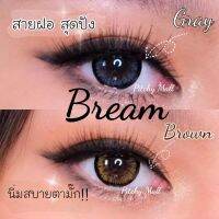 ? สุดปัง มีค่าสายตา ? Lovelylens คอนแทคเลนส์ ลาย Bream Gray Brown บิ๊กอาย สุดปัง คอนแทคเลนส์ รายเดือน มีอย แถมตลับฟรี เลนส์นิ่ม สวยปังมาก