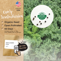 เมล็ดผักนำเข้า เคลใบหยิก Curly Kale (Organic Seed) หลากหลายสายพันธุ์ดี คะน้าเคล ผักเคล ราชินีผักใบเขียว