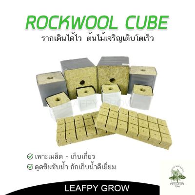 [ready stock]ROCKWOOL ร็อควูล วัสดุใยหินปลูกต้นไม้ ระบบไร้ดิน เพาะเมล็ด - เก็บเกี่ยว ต้นเจริญเติบโตได้ดีมีบริการเก็บเงินปลายทาง