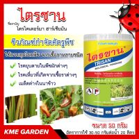 ♻️ชีวภัณฑ์♻️ ไตรซาน เชื้อรา ไตรโคเดอร์ม่า ฮาร์เซียนัม ขนาด 50 กรัม ใช้ควบคุมโรคพืช ซึ่งมีสาเหตุจากเชื้อราหลายชนิด