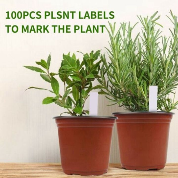 100-pcs-6inch-plastic-plants-pots-nursery-pots-with-label-garden-tools