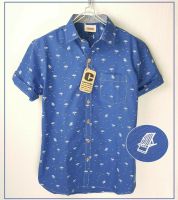 Capture Shirt เสื้อเชิ้ตผู้ชาย คอปก แขนสั้น ผ้า oxford ลายร่มชายหาด สีน้ำเงิน มีถึงอก 48 นิ้ว