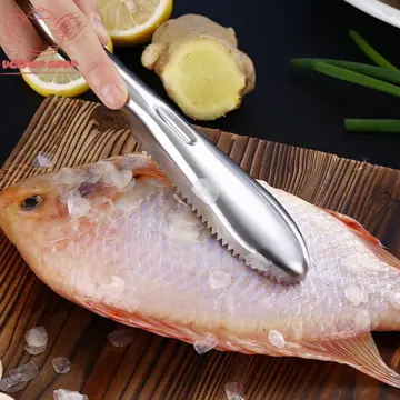 Fish Descaler - Best Price in Singapore - Feb 2024