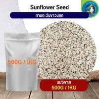 สุดยอด ทานตะวันขาวนอก White Sunflower อาหารนก กระต่าย หนู กระต่าย กระรอก ชูก้า และสัตว์ฟันแทะ (แบ่งขาย 500G / 1KG)