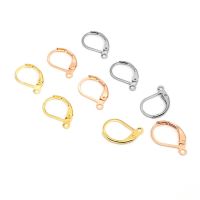 20pcs/lot 316 Stainless Steel French Lever Earring Wire D Shape Earring Hooks Clasp for DIY Jewelry Making Findings Supplier
