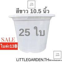 Little กระถางสีขาว 10.5 นิ้ว ชุด 25 ใบ(ขาวออร่าA+?)