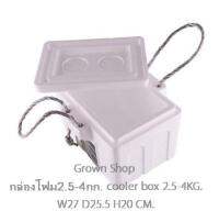 กล่องโฟมเล็ก กล่องโฟมปิคนิก กล่องเก็บความเย็น Foam cooler box, cold storage box Picnic box