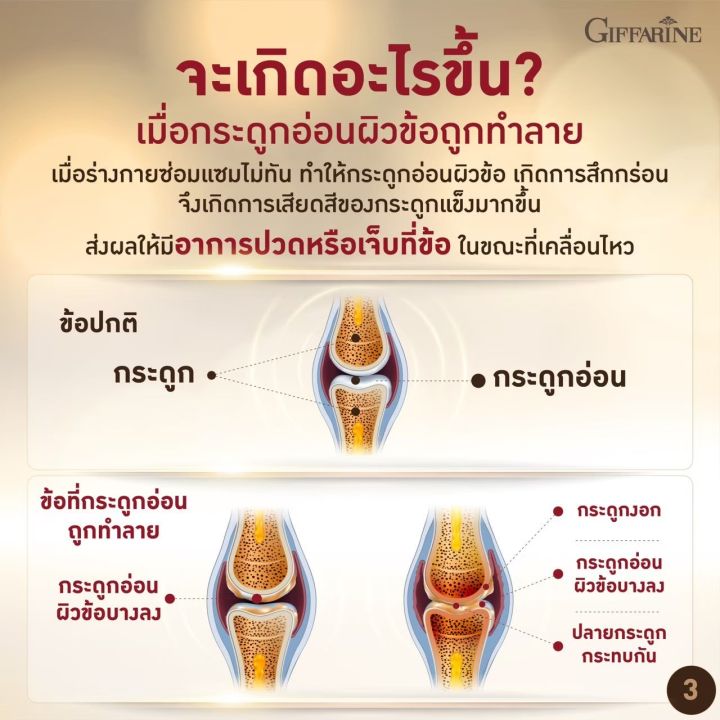 คอลลาเจน-ไทพ์ทู-กิฟฟารีน-ยูซี-ทู-โกลด์-giffarine-uc-ii-gold-ผลิตภัณฑ์เสริมอาหารบำรุงกระดูกและข้อ