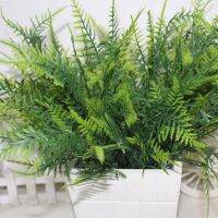 【YF】∋❃ↂ  Stems Artificial Asparagus Shrub Office Plastic Table