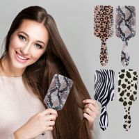 【CC】 Leopard Print Hair Air Cushion Straight Comb Massage Cartoon Plastic Detangling Hairdressing