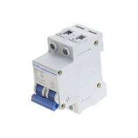 CHNT MCB Mini Household Circuit breaker C type DZ47-60 2 Pole 6Amp  400V Electrical Circuitry Parts