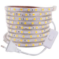 ▩ LED Strip 220V Waterproof 60LEDs/m Flexible Tape Ribbon SMD 5050 LED Light Strip With EU Switch Plug