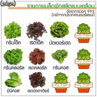 เมล็ดผักสลัด ชนิดเคลือบ อัตราการงอก 99% ยอดนิยม 8 ชนิด  จำนวน 400 เมล็ด (SD8M)