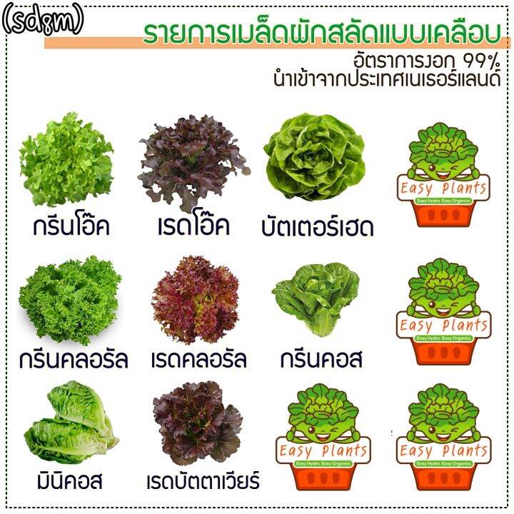 เมล็ดผักสลัด-ชนิดเคลือบ-อัตราการงอก-99-ยอดนิยม-8-ชนิด-จำนวน-400-เมล็ด-sd8m