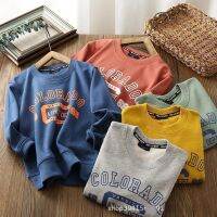 COD DSFDGDFFGHH 100 Cotton Boys Sweatshirt Spring Clothes 2022 New Style Fashionable Womens Tops Medium Large Childrens Round Neck Bottoming Shirt T-Shirt