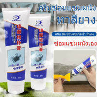 Super-Life wall repair cream Repair holes, waterproof