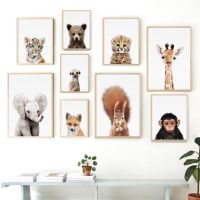 Baby Tiger Bear Fox Lion ยีราฟกระต่าย Wall Art ภาพวาดผ้าใบ Nordic โปสเตอร์และภาพพิมพ์สำหรับห้องเด็กตกแต่งบ้าน