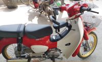 เบาะนั่งเด็ก รถมอเตอร์ไซค์ All New Honda Super Cub 2018-2019