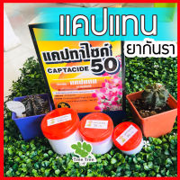 ยากันรา ยากันเชื้อราแคคตัส cactus ชนิดผง ยากันราแคปแทน (Captan - Captacide 50) ราในกระบองเพชร ไม้อวบน้ำ แคคตัส?