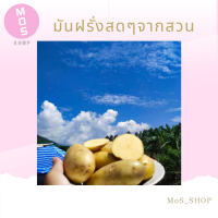 มันฝรั่ง(Potato土豆)สดๆจากสวน ราคา1กิโล สะอาด สวยๆ ราคาต่อกิโล คละไซค์ พร้อมส่ง