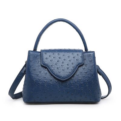 Monogrammed Letters Designer Luxury Handbags Women Bags Ostrich Pattern Women Crossbody Bag Go New Fashion Women Bag Shoulder
