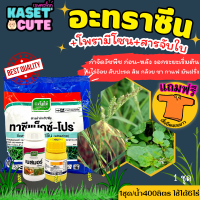 ? แถมฟรีเสื้อ 1 ตัว คลีโอโปร (โทพรามีโซน+อะทราซีน) สารกำจัดและคุมวัชพืชในข้าวโพด กำจัดหญ้าใบแคบและใบกว้าง (1ชุด)