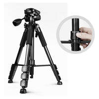 Shutter B Tripod SB-111 ขาตั้งกล้อง